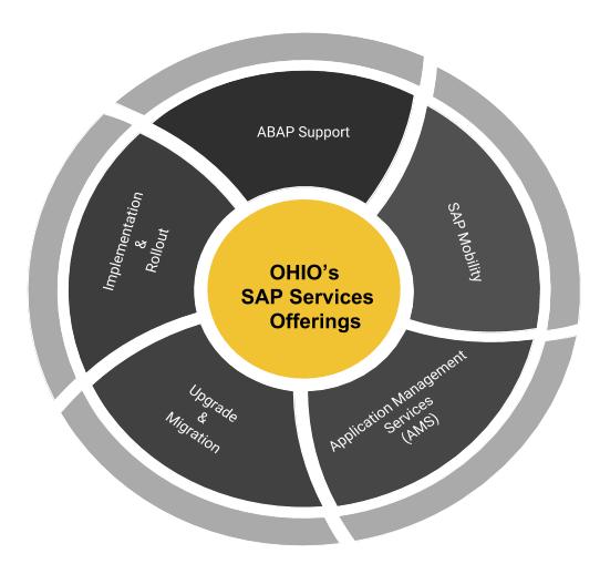 ohio sap offering