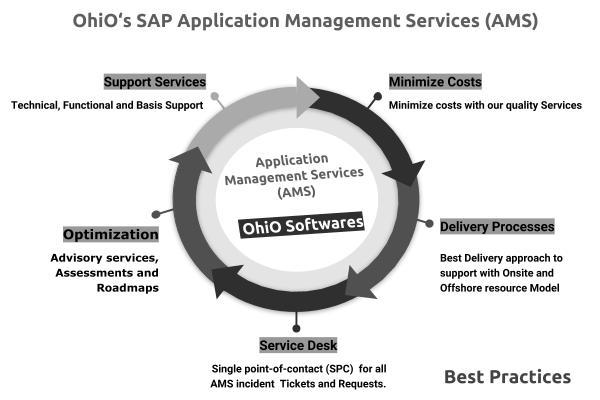 ohio sap offering